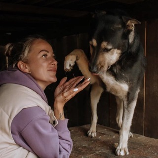 Логотип @wowhoney87 - 🐾Лапка помощи🐕🐈