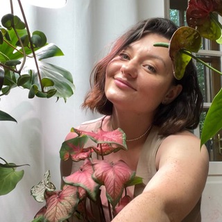 Логотип @wowplantsmom - ПЕРЕСАДИТЕ ЭТО НЕМЕДЛЕННО!