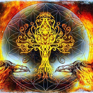 Логотип @wrassvet1 - Рассвет канал