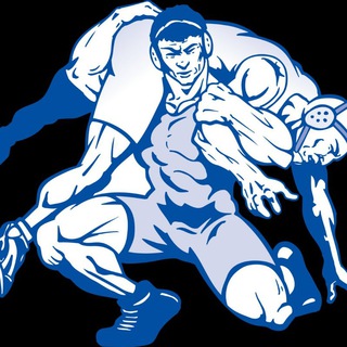 Логотип @wreststyle - Вольная борьба