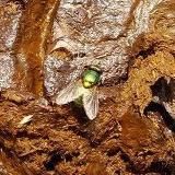 Логотип @wrighttool - wrighttool