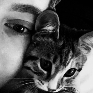 Логотип @wrredniie - ᴡʀᴇᴅɴɪᴇ