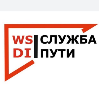 Логотип @wsdi_p - WSDI_P