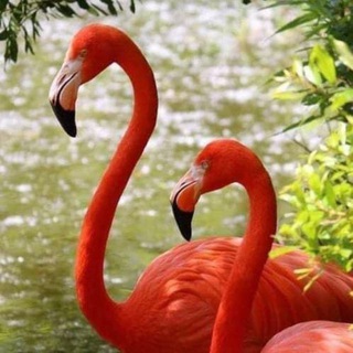 Логотип @wse_o_mire - Все о Мире All about the World