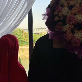 Логотип @wsfql - 🫀