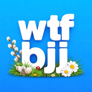 Логотип @wtfbjj - Тренер, ещё раз покажите😎