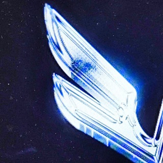 Логотип @wtfbob1337 - wtfbob