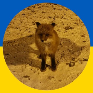 Логотип @wtfgen - Генератор кавунів