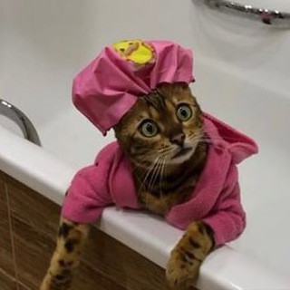 Логотип @wtfiHerb - буквы на скидочном