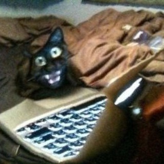 Логотип @wtfizdizz - Wtf iz diz