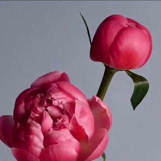 Логотип @wth_love - Тепло Души