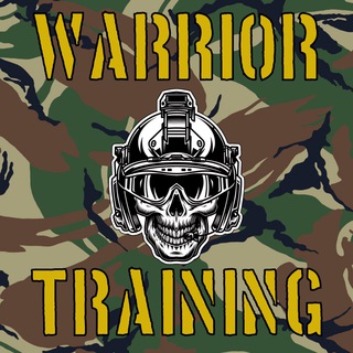 Логотип @wtsystem - Warrior Training