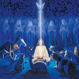 Логотип @wuerdefuertierundmensch - Würde für Tier und Mensch