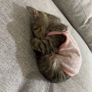 Логотип @wusqez - океан мыслей