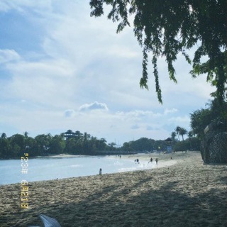 Логотип @wviarlskte - wviarlskte