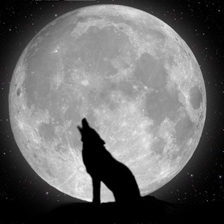 Логотип @wwgit - 🐺 WWG 🐺 - WereWolfGame ITA