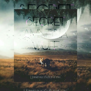 Логотип @wwsecretamnes - Secret Amnes Wuff