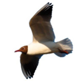 Логотип @www142800com - Домодедово Ступино Кашира. Недвижимость.