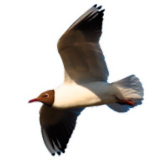 Логотип @www142800ru - Недвижимость Ступино