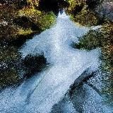 Логотип @wwwebsurf - консервы шебсёрфа 🏄‍♂