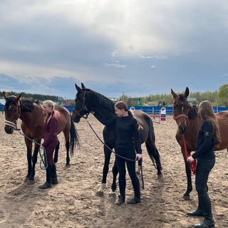 Логотип @wwwwwponi_koni24 - 💗something on horseback 💗