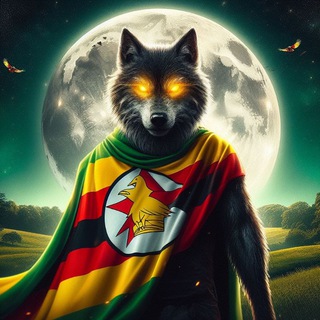 Логотип @wwzimbabwe - WW Zimbabwe