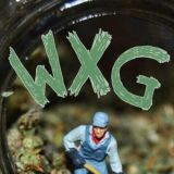 Логотип @wxgdiscussion - Вырастить траву. Обсуждения WXG