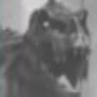 Логотип @wxtoxitioroff - Токсиктр хочет торт.