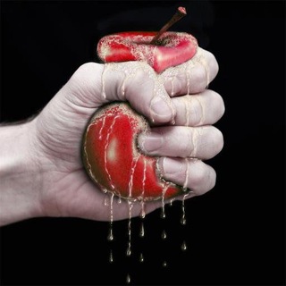 Логотип @wylsachat - Wylsacom Red Chat
