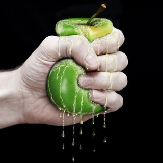 Логотип @wylsacomredchat - Wylsacom Media