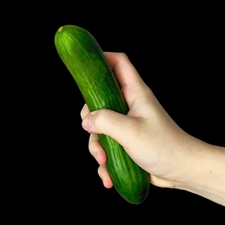 Логотип @wylsagreen - Wylsacum Green