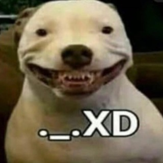 Логотип @x64conorchat - чат экспертов zxc движения