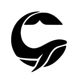 Логотип @x_vislon - X VISlON (Position)