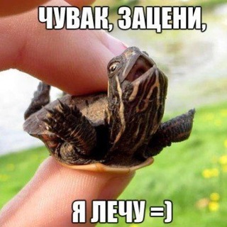 Логотип @xa_smeshno - Анекдоты обо всём|Смешно тут|Юмор🔞