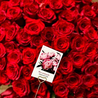 Логотип @xaaawa - хабибати