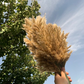 Логотип @xadidje14 - 𝓚𝓱𝓪𝓭𝓲.01