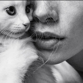 Логотип @xael1th - xæl1th