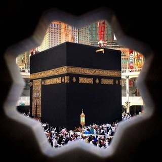 Логотип @xalal_invest_gulnara - 🌙ХАЛЯЛЬ🌙