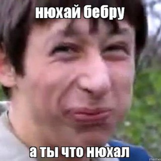 Логотип @xamelionchat - хамелион чатек
