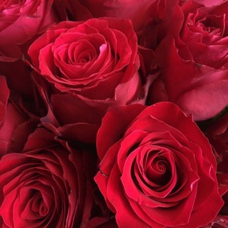 Логотип @xamxoeva21 - Чат