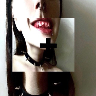 Логотип @xantidd - XANTIDD