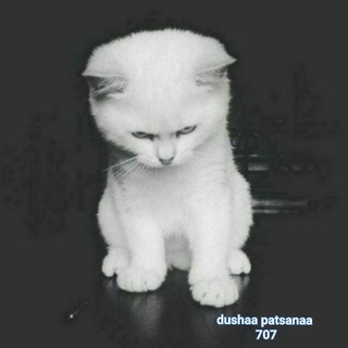 Логотип @xasanxoji - Kᝪ'ℕℊⅈℒ ℬℰKᗅᝨⅈ💝