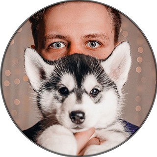 Логотип @xaskibest - СПБ XASKIBEST Фотосессия с мини лошадкой и хаски