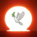 Nichts Neues unter der Sonne