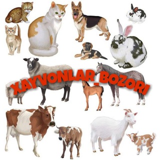 Логотип @xayvonlar_bozori - ХАЙВОНЛАР БОЗОРИ