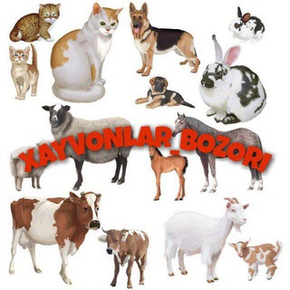 Логотип @xayvonlarbozor - ХАЙВОНЛАР БОЗОРИ