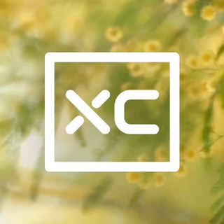 Логотип @xc_fashion - ХС печатает...