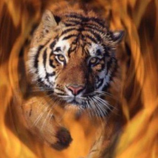 Логотип @xdbagirov - Итоги дня с Эмилем Багировым