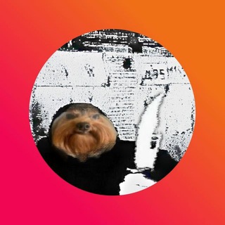 Логотип @xdreznya - xD reznya
