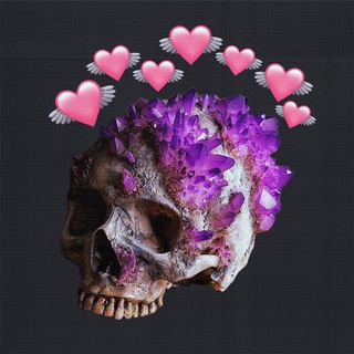 Логотип @xena6s - xena6s